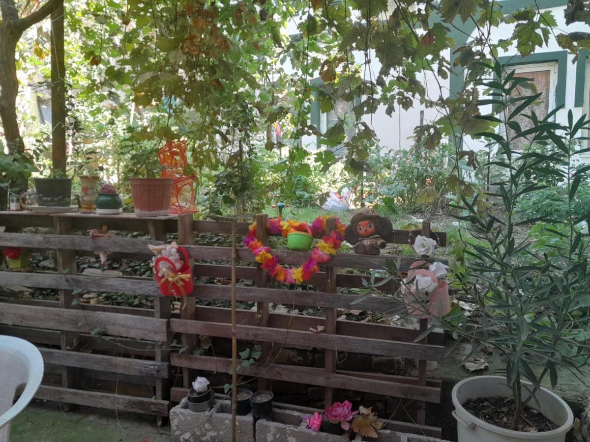 مبيت وإفطار سكوبجي Adem'S Cozy Terrace Retreat المظهر الخارجي الصورة