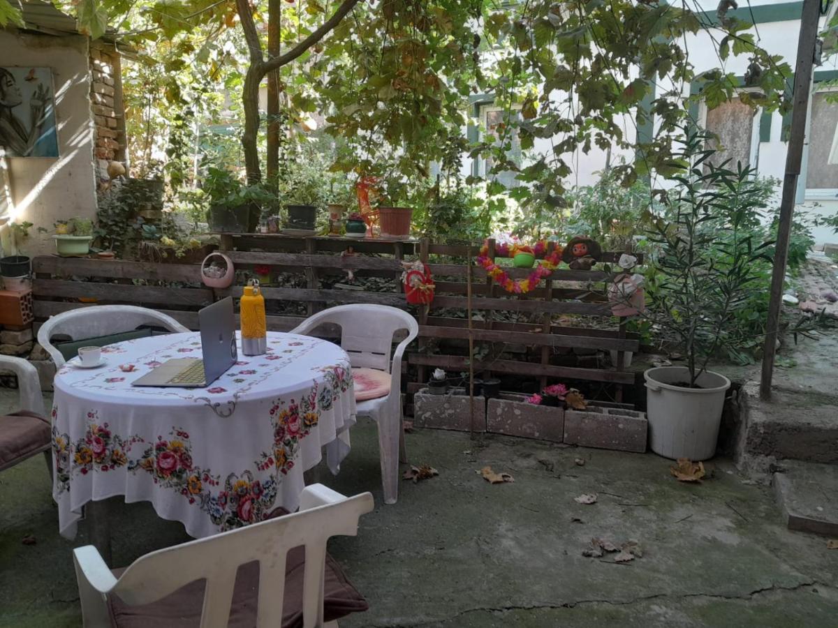 مبيت وإفطار سكوبجي Adem'S Cozy Terrace Retreat المظهر الخارجي الصورة