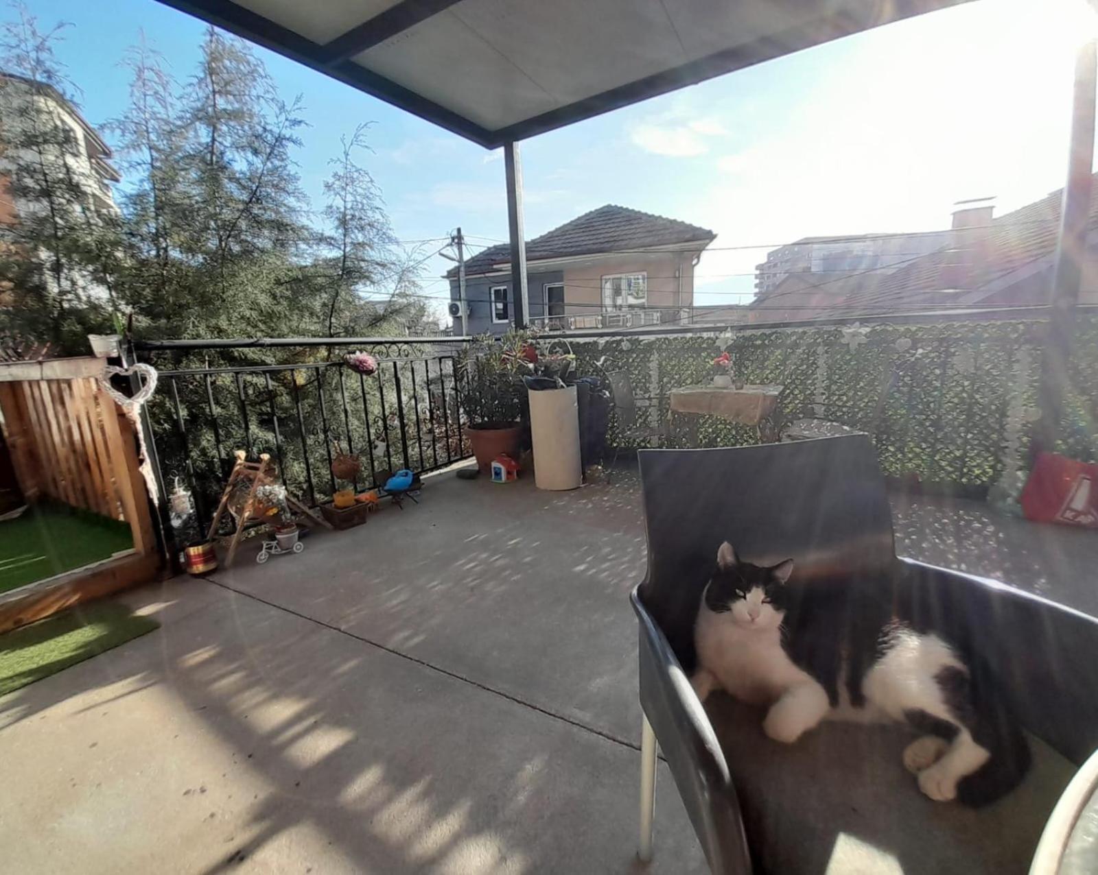 مبيت وإفطار سكوبجي Adem'S Cozy Terrace Retreat المظهر الخارجي الصورة